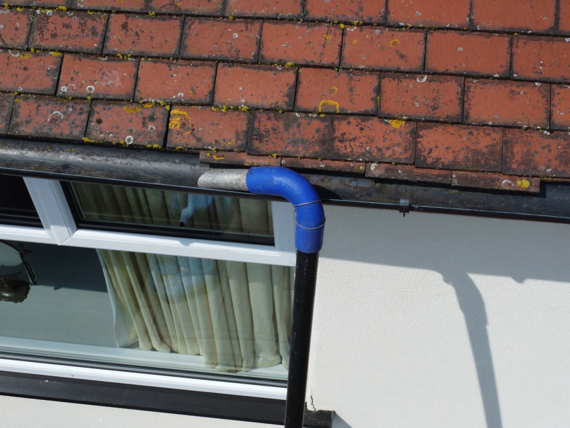 Close-up of moss and yellow lichen on roof tiles above a gutter line